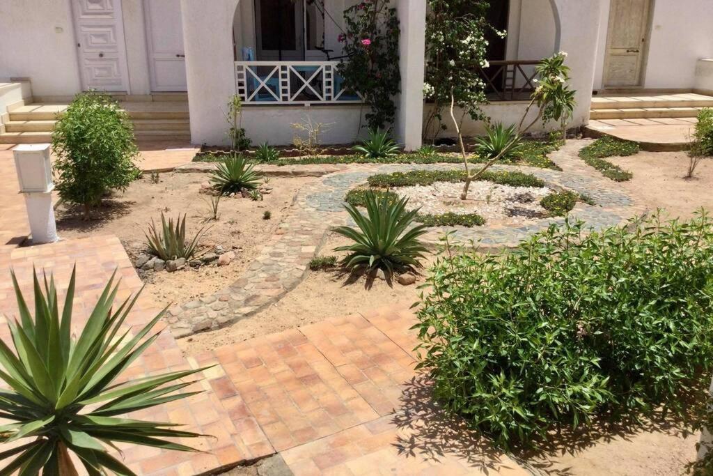 Beyt Alzohour - Casa Dei Fiori Apartment Dahab Ngoại thất bức ảnh